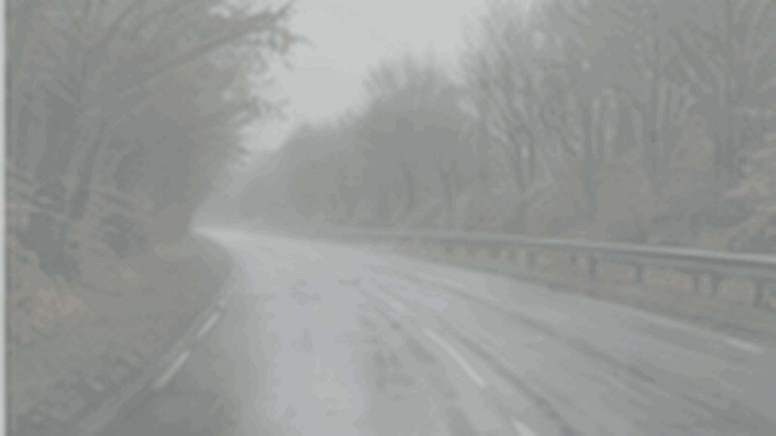 Route tournant à gauche dans un brouillard dense, avec une glissière à droite et une visibilité réduite au loin.