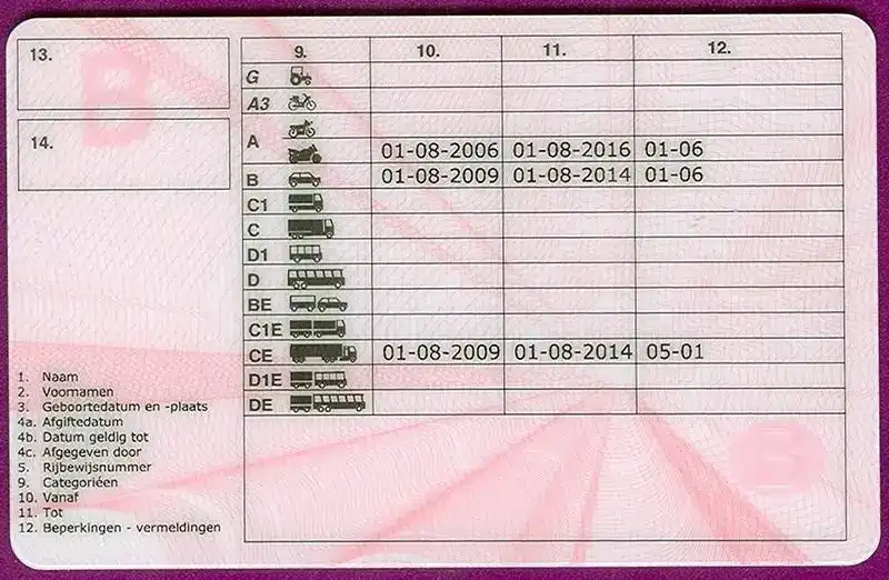 Verso d’un permis belge : catégories en colonne 9, dates de validité en colonnes 10 et 11, codes et restrictions en colonne 12.