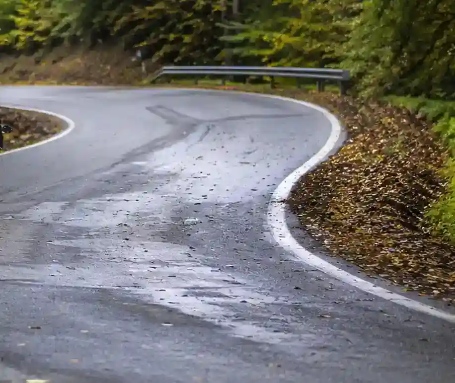 Virage serré à gauche sur une chaussée humide parsemée de feuilles et bordée de végétation.