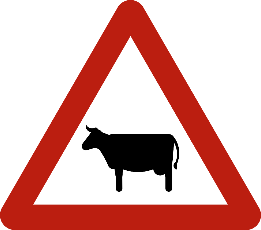 Triangle à bord rouge avec une vache.